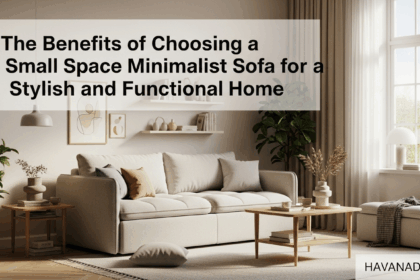 The Benefits of Choosing Small Space Minimalist Sofa for a Stylish and Functional Home 12 The Benefits of Choosing Small Space Minimalist Sofa for a Stylish and Functional Home