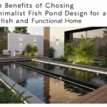 The Benefits of Choosing Minimalist Fish Pond Design for a Stylish and Functional Home